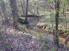 Turner Creek 2 