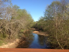 Allatoona Creek 