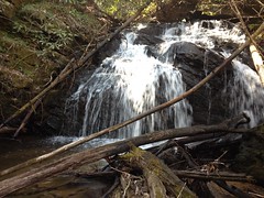 Upper Davis Creek Falls Cascade 1 