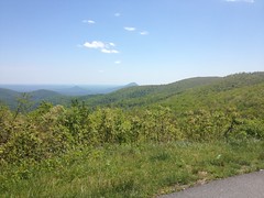 View from the Overlook South of Hogpen 