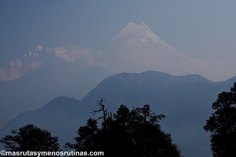 Trek ABC. De Ghorepani (2880 m) a Chuille (2270 m) - NEPAL 2016. Trek al Annapurna Sanctuary (ABC) (14)