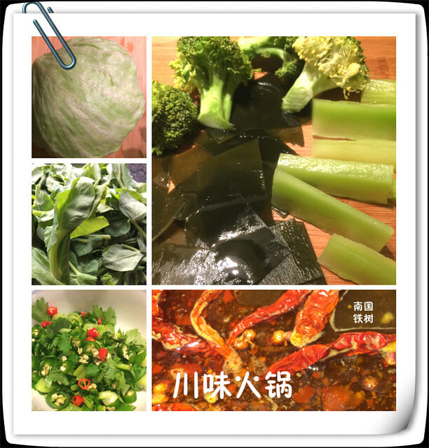 IMG_1840_蔬菜火鍋_3_meitu_8