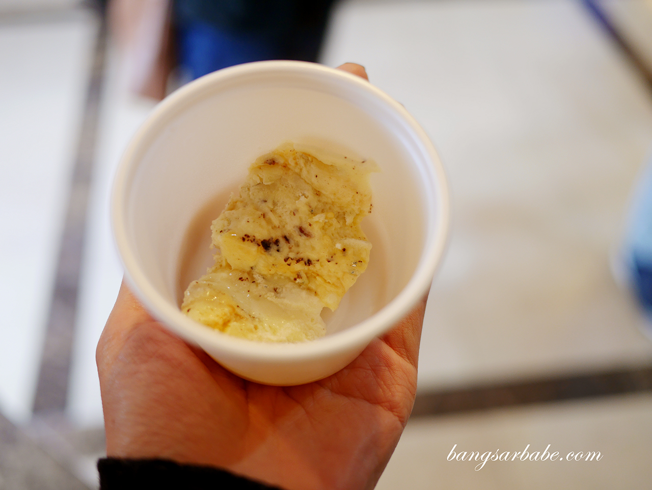 Shirasu Ice Cream (2)