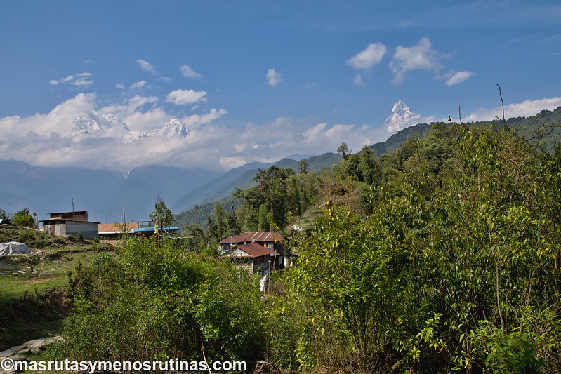 Trek ABC. De Jhinu (1750 m) a Pothana (2000 m) - NEPAL 2016. Trek al Annapurna Sanctuary (ABC) (27)