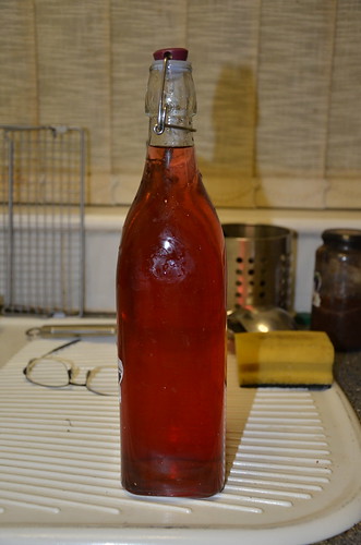 red currant vodka Dec 16 (2)