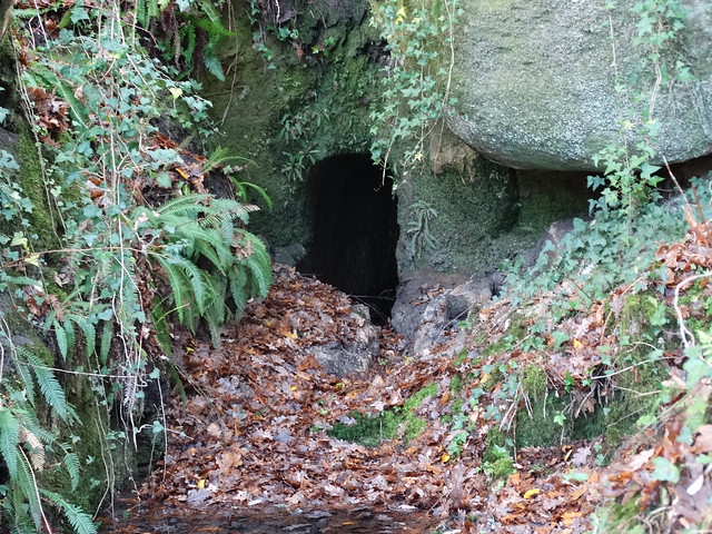 Túnel en Luintra