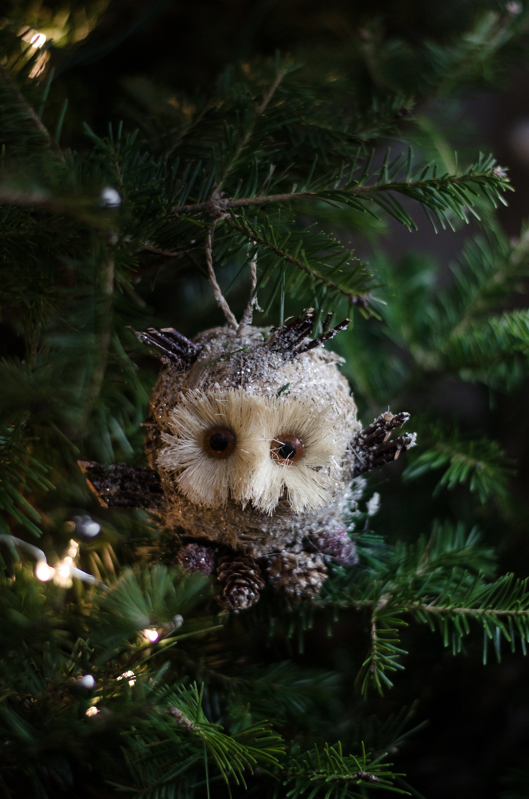 Owl Ornament on juliettelaura.blogspot.com