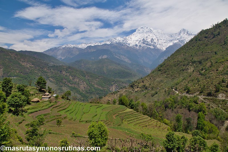 Trek ABC. De Jhinu (1750 m) a Pothana (2000 m) - NEPAL 2016. Trek al Annapurna Sanctuary (ABC) (22)