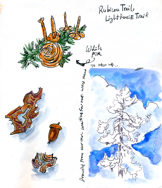 Sketchbook #101: Trip to South Tahoe