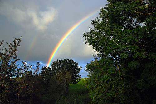 Rainbow behind Dark Hedges in Ireland