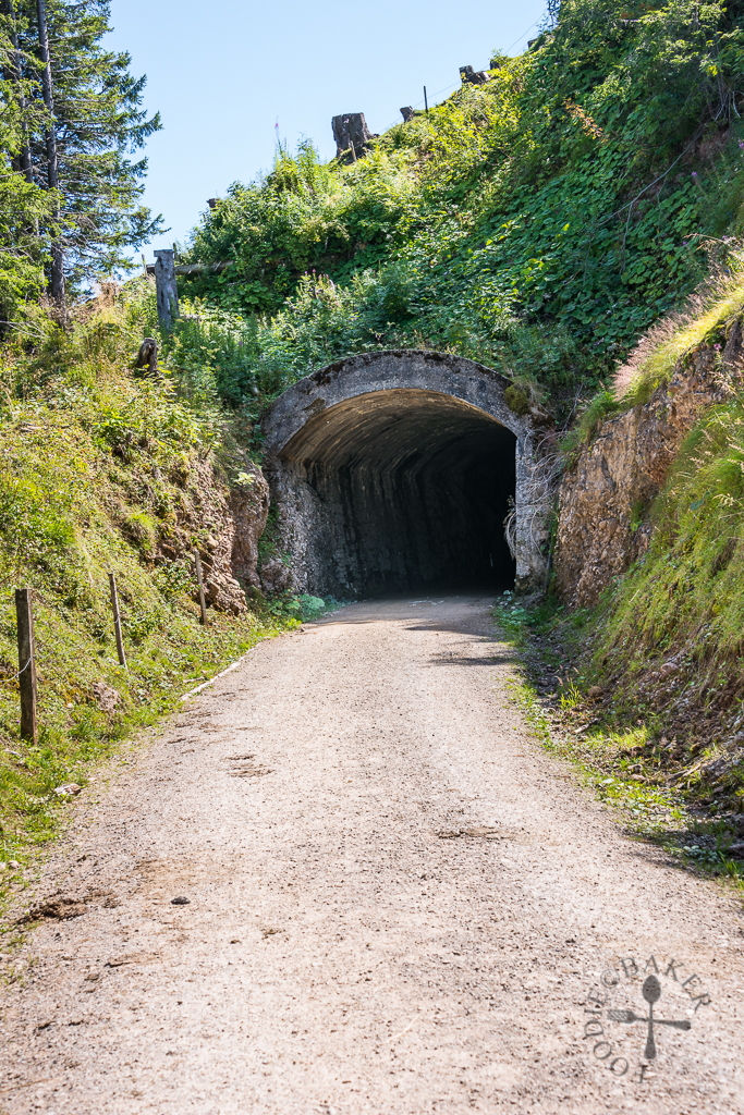 Old railway tunnel
