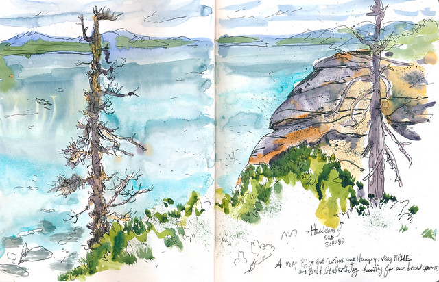 Sketchbook #101: Trip to South Tahoe