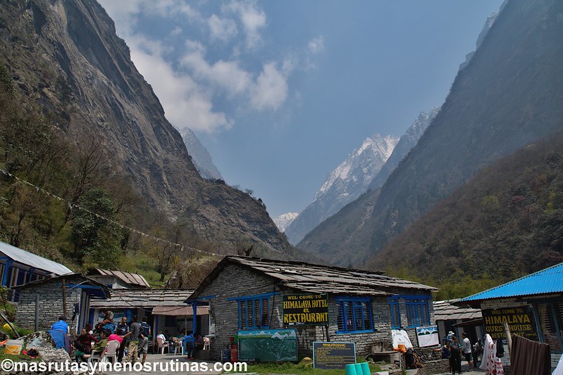 NEPAL 2016. Trek al Annapurna Sanctuary (ABC) - Blogs de Nepal - Trek ABC. De Sinuwa (2320 m) a Deurali (3150 m) (8)