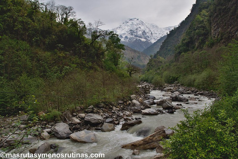 Trek ABC. De Jhinu (1750 m) a Pothana (2000 m) - NEPAL 2016. Trek al Annapurna Sanctuary (ABC) (11)