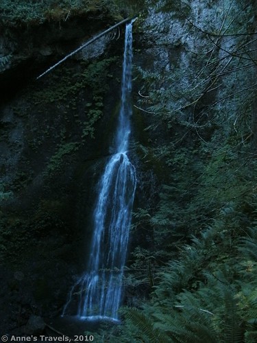 Marymere Falls, Olympic National Park, Washington