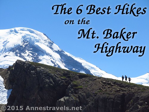 The 6 Best Hikes on the M.t Baker Highway - picture is from Skyline Divide, Washington