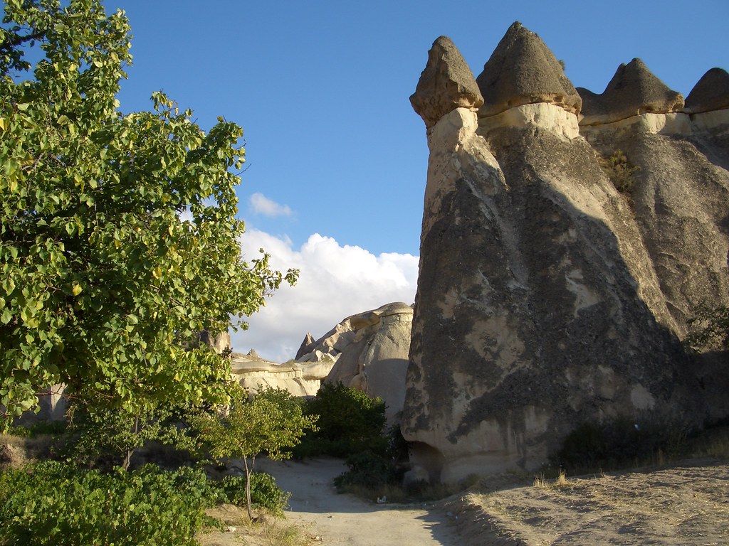 Pasabag Formations Near Kapadokya