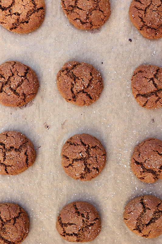 Grain-free Spiced Molasses Cookies - Gluten-free and Dairy-free // www.tasty-yummies.com