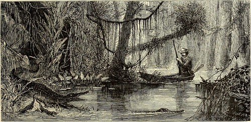Image from page 48 of "Picturesque America; or, The land we live in. A delineation by pen and pencil of the mountains, rivers, lakes, forests, water-falls, shores, cañons, valleys, cities, and other picturesque features of our country" (1872)