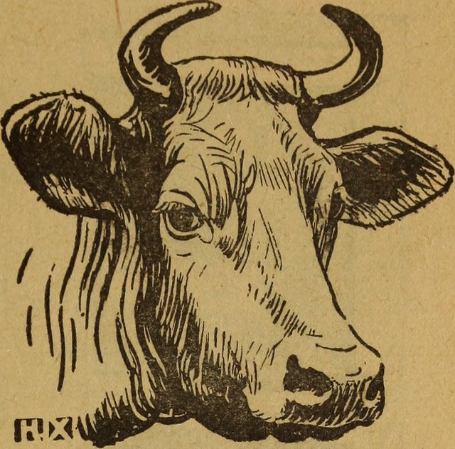 Image from page 16 of "Favorite recipes save time and money" (1919)