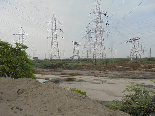 Ash from the Ennore thermal power station is dumped illegally into the Buckingham canal.