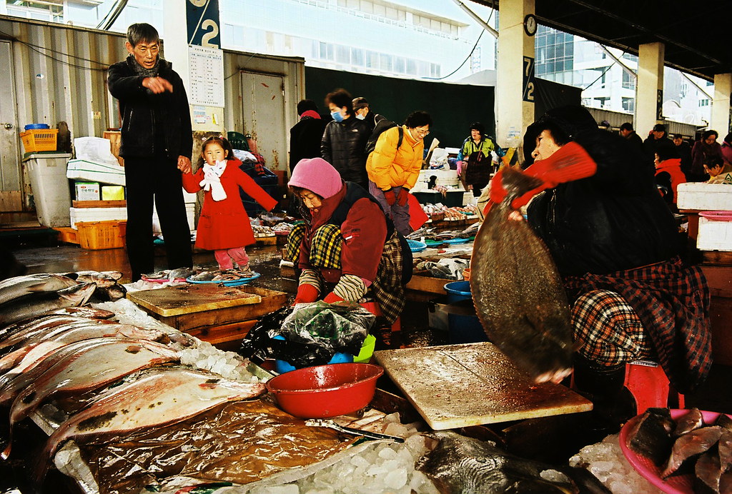 busan fish market  ~ 자갈치 1