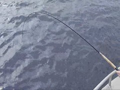 Catching King Salmon in Sitka, AK