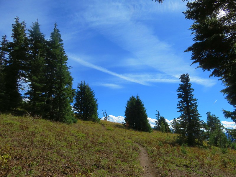 Scott Mountain Trail