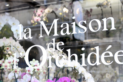 Paris La Maison De L'Orchided