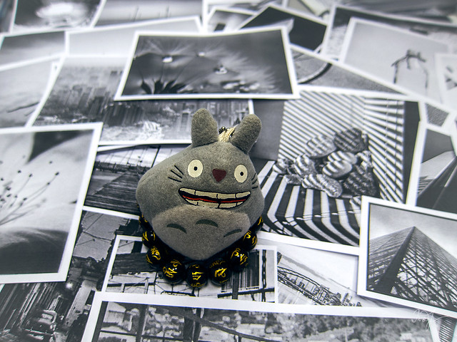 Day #319: totoro loves bw-photos very much