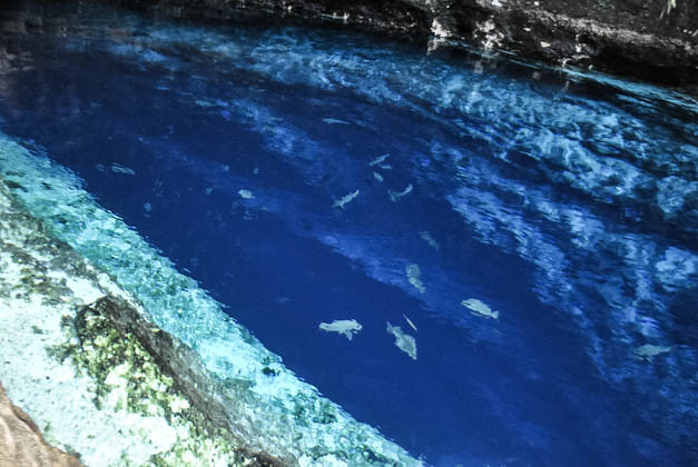 enchanted river 2 (1 of 1)