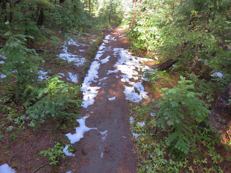 Snow along the Scott Mountain Trail