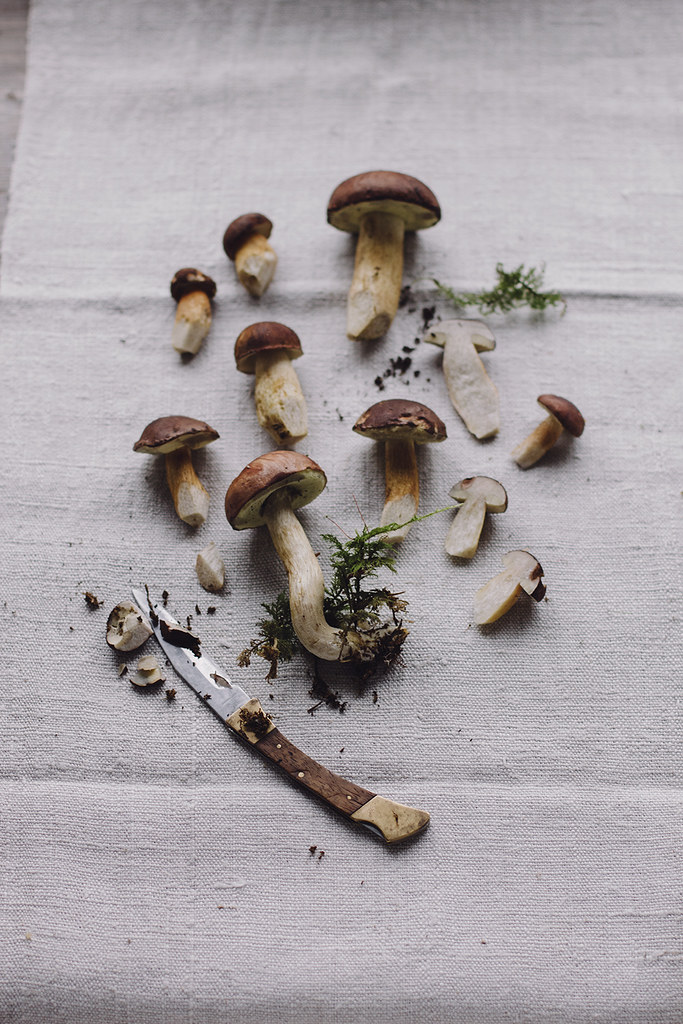picking_mushrooms_by_Amelie_Niederbuchner_photographer_munich_IMG_0066ed