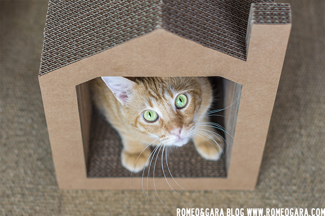 Nekohomu: casas rascadores para gatos