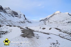 Promenade des glaciers Jasper