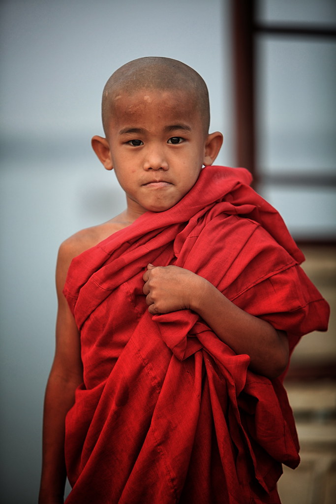 A Young Burmese Novice Monk