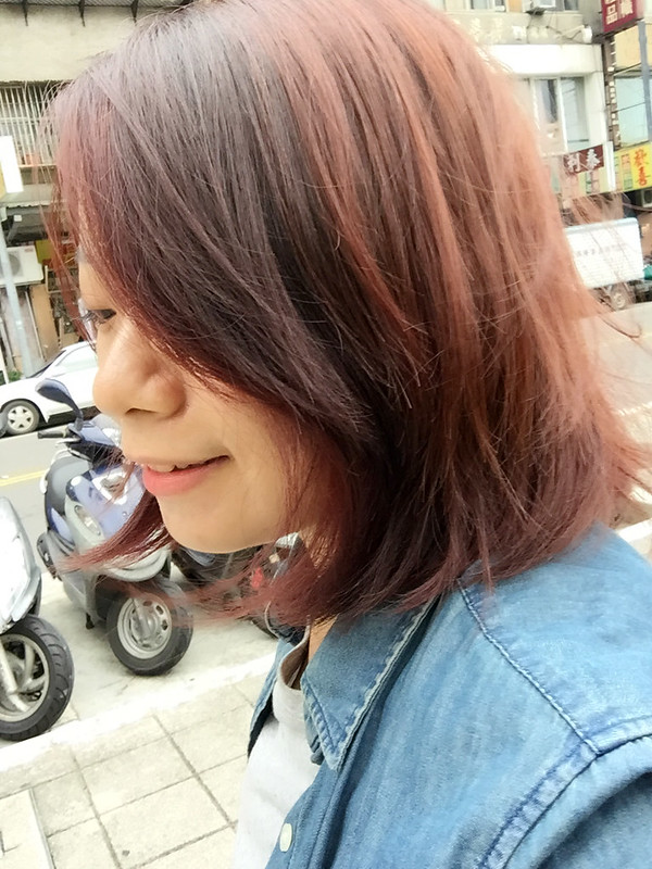 2016 櫻桃紫紅X深栗紫