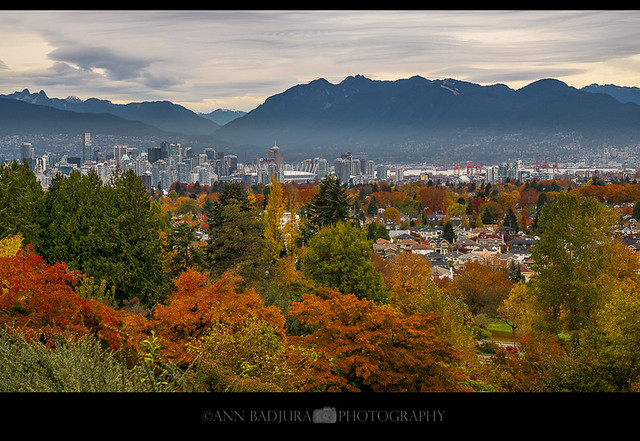 Fall colours in Vancouver, BC, Canada