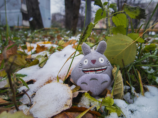 Day #271: totoro meets the first snow