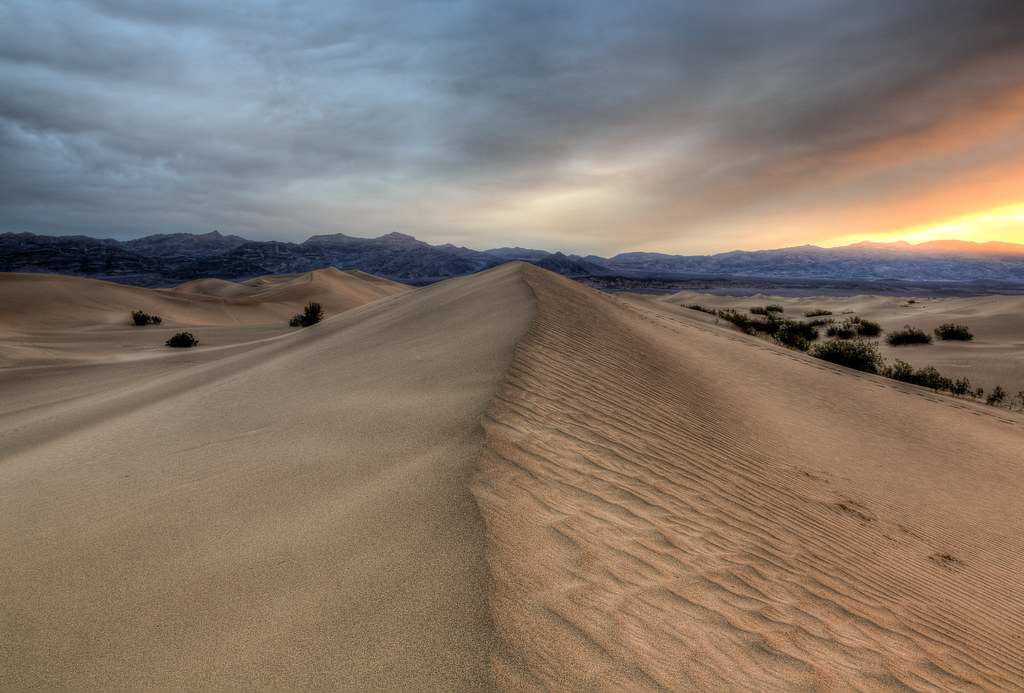The Most Dry, Most Low And The Hottest Place, Death Valley, Is Full Of Life