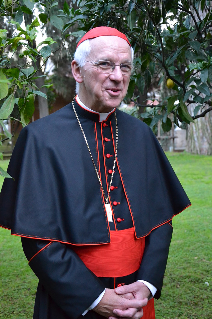 Kardinaalscreatie Mgr Jozef De Kesel