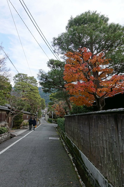 Nanzenji street colored leaves