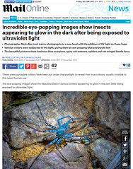 Incredible eye-popping images show insects appearing to glow in the dark after being exposed to ultraviolet light
