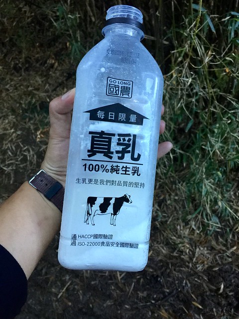 在山上喝到牛奶真棒
