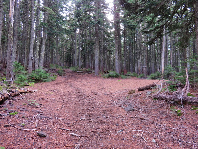 Rainy-Wahtum Trail junction with the Gorton Creek, and Herman Creek Cutoff Trails