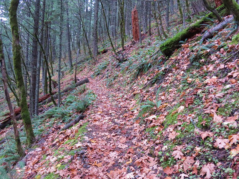 Wyeth Trail