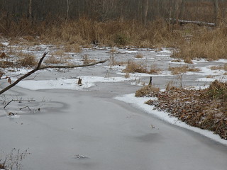 Icy Pond