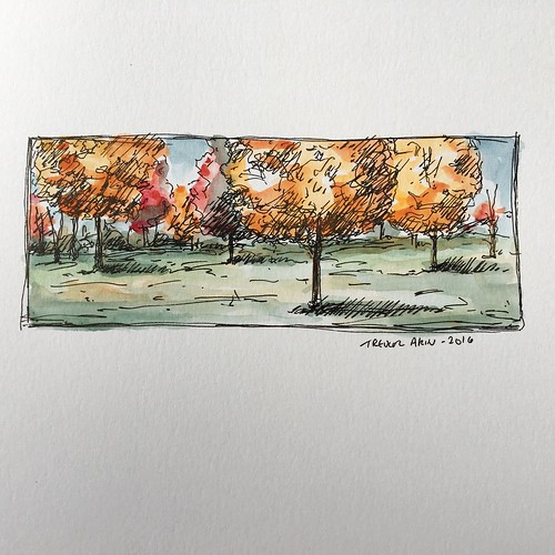 Fall colors at Nathanael Greene Park.
