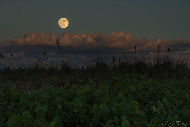 Super Moon over Delray Beach, Florida