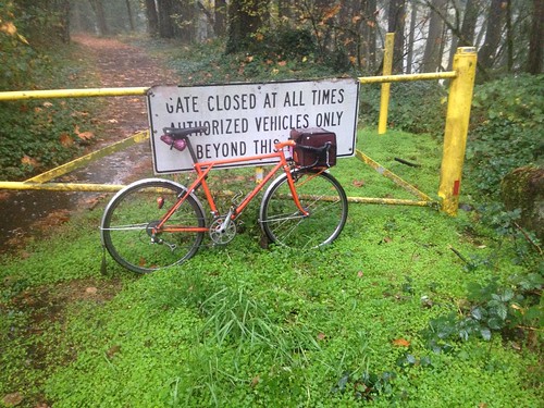 Damply authorized kit bike